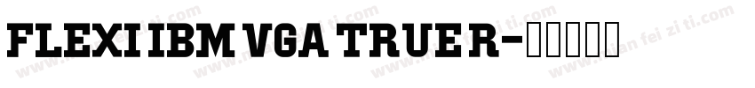 Flexi IBM VGA True R字体转换